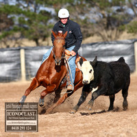 GoulburnCampdraft2018_2124
