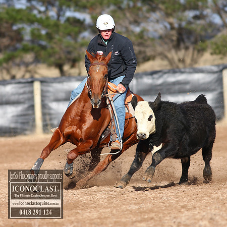 GoulburnCampdraft2018_2124