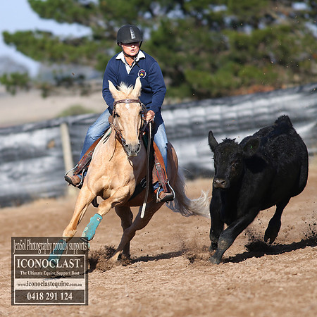 GoulburnCampdraft2018_2345