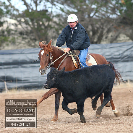 GoulburnCampdraft2018_2162