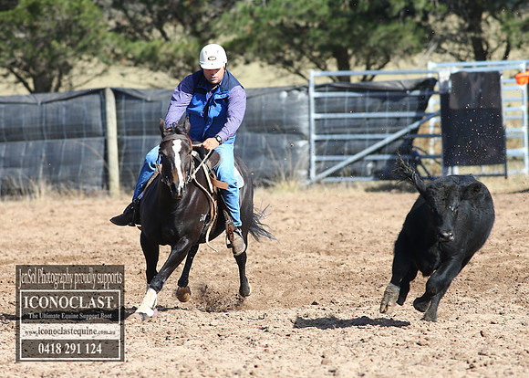 GoulburnCampdraft2018_2666