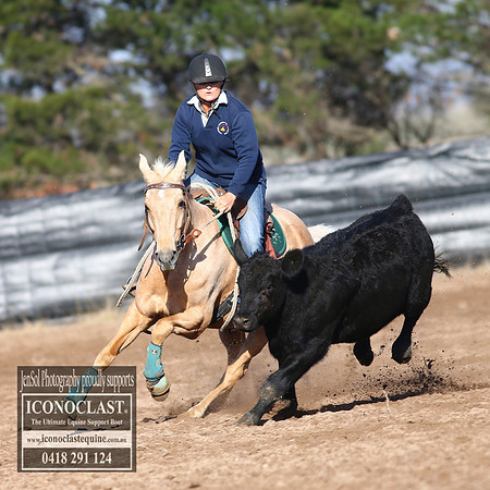 GoulburnCampdraft2018_2355