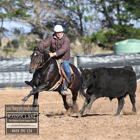 GoulburnCampdraft2018_2370
