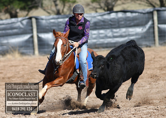 GoulburnCampdraft2018_2597