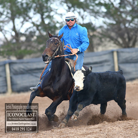 GoulburnCampdraft2018_2236