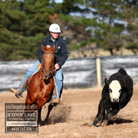 GoulburnCampdraft2018_2139