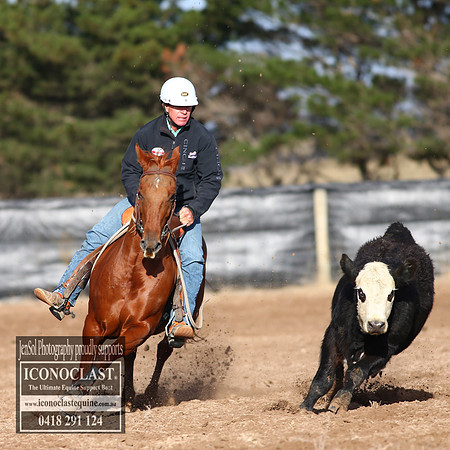 GoulburnCampdraft2018_2139