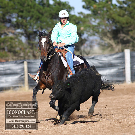 GoulburnCampdraft2018_2380