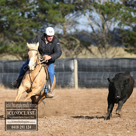 GoulburnCampdraft2018_2142