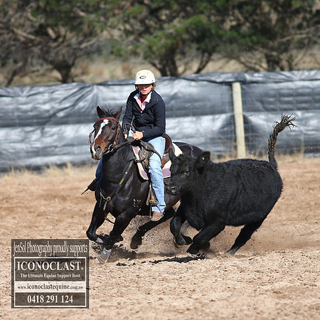 GoulburnCampdraft2018_2456