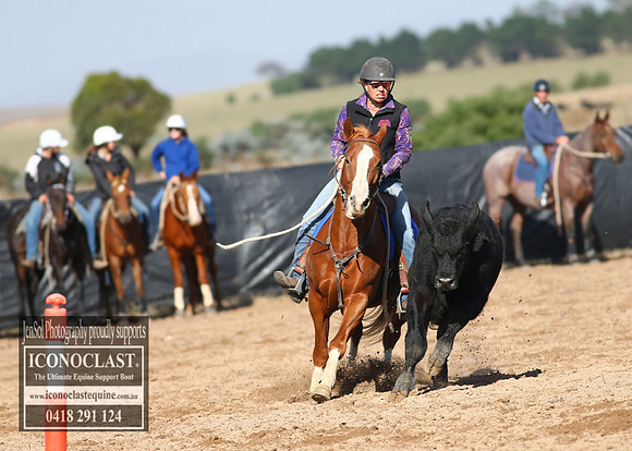 GoulburnCampdraft2018_2620