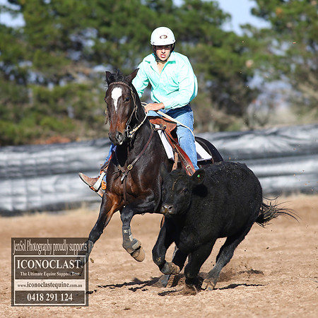 GoulburnCampdraft2018_2381