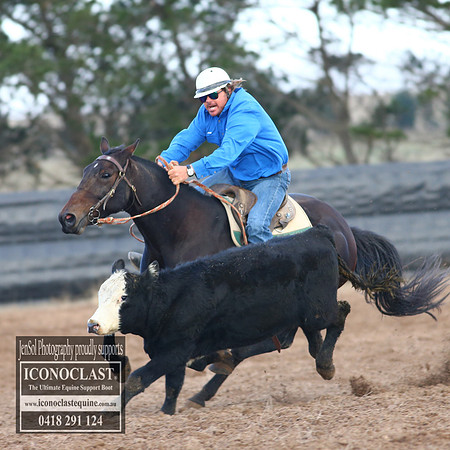 GoulburnCampdraft2018_2224