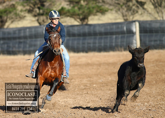 GoulburnCampdraft2018_2095