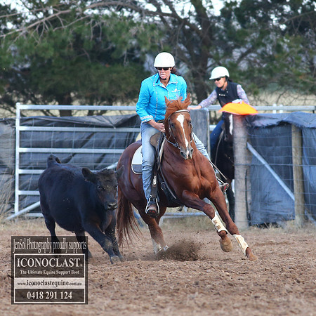 GoulburnCampdraft2018_2252