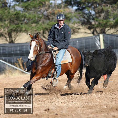 GoulburnCampdraft2018_2314