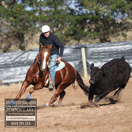 GoulburnCampdraft2018_2311