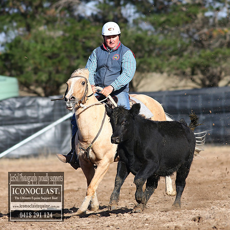 GoulburnCampdraft2018_2415