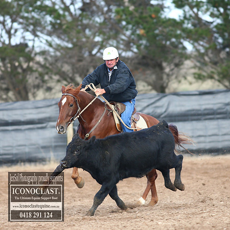 GoulburnCampdraft2018_2166