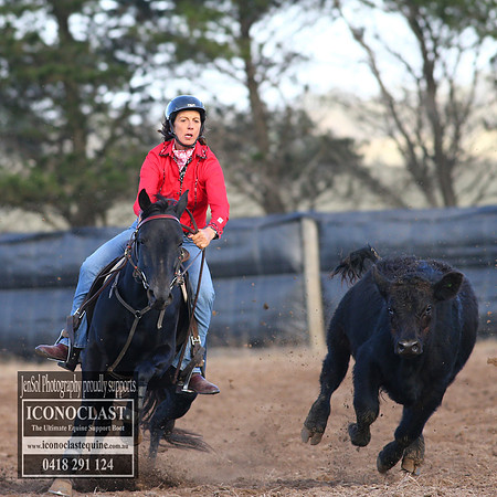 GoulburnCampdraft2018_2278