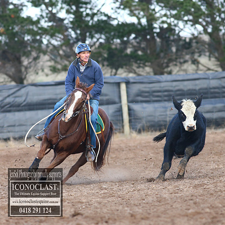 GoulburnCampdraft2018_2268