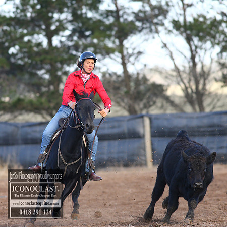 GoulburnCampdraft2018_2275