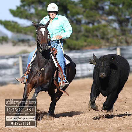 GoulburnCampdraft2018_2374