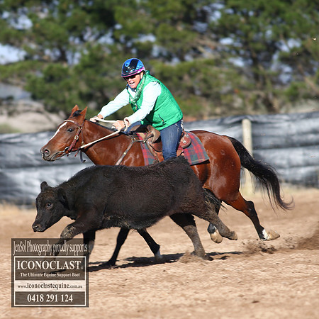 GoulburnCampdraft2018_2399