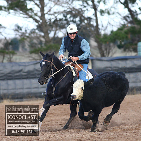 GoulburnCampdraft2018_2245