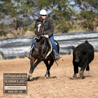 GoulburnCampdraft2018_2119