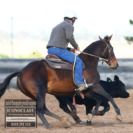 GoulburnCampdraft2018_2296