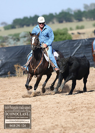 GoulburnCampdraft2018_2548
