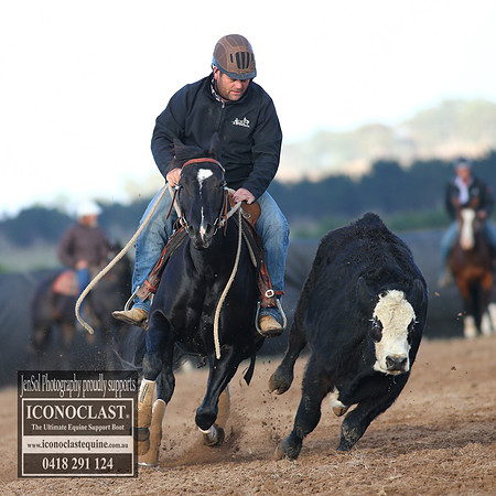 GoulburnCampdraft2018_2209