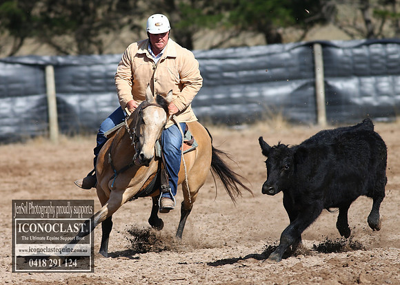 GoulburnCampdraft2018_2674