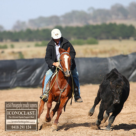 GoulburnCampdraft2018_2435