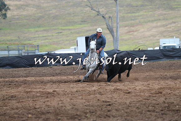 CabanandraCampdraft2015_0267