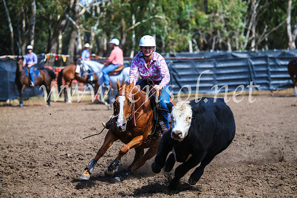 GundagaiCampdraft2017_0910