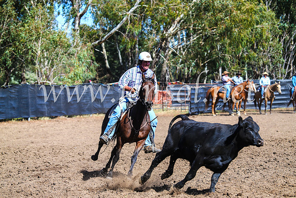 GundagaiCampdraft2017_0805