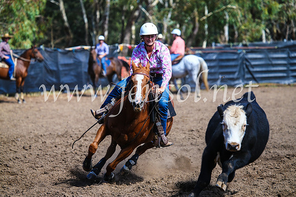 GundagaiCampdraft2017_0920