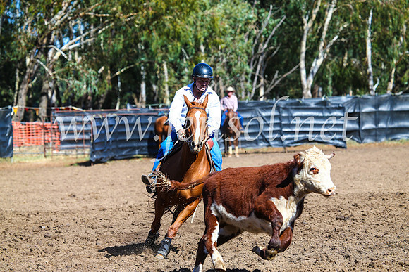 GundagaiCampdraft2017_0753