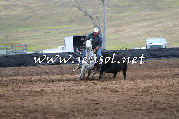 CabanandraCampdraft2015_0269