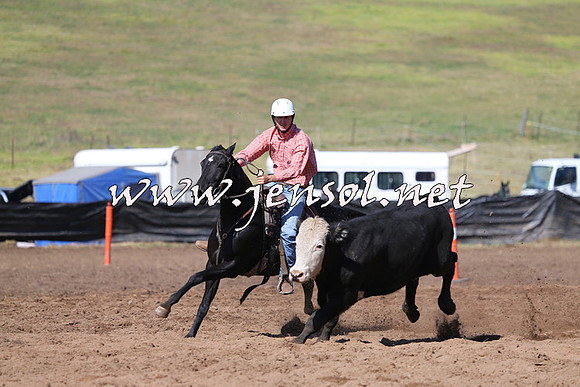 CabanandraCampdraft2015_0377