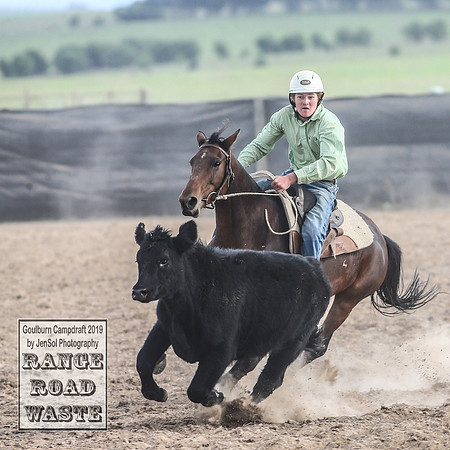 GoulburnCampdraft2019_4408