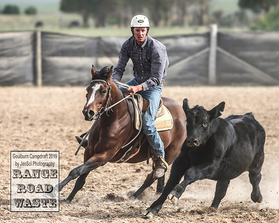 GoulburnCampdraft2019_4488