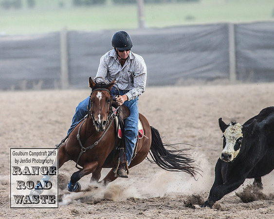 GoulburnCampdraft2019_4267