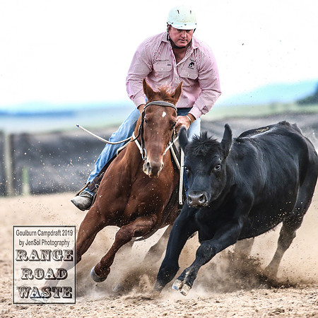 GoulburnCampdraft2019_5003