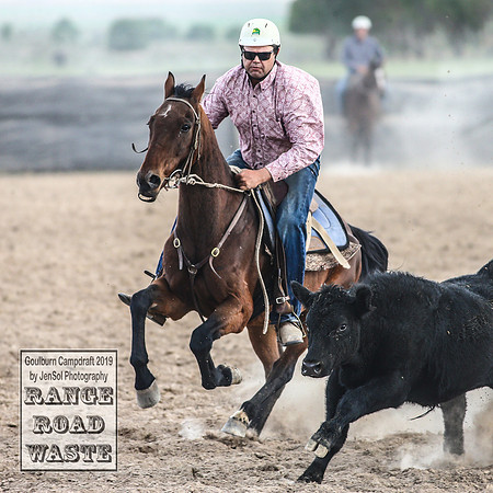 GoulburnCampdraft2019_4380