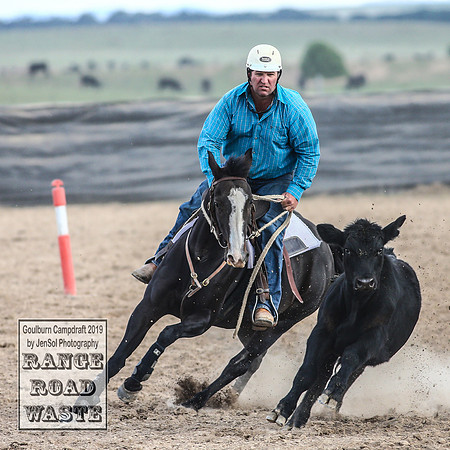 GoulburnCampdraft2019_4315