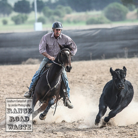 GoulburnCampdraft2019_4462