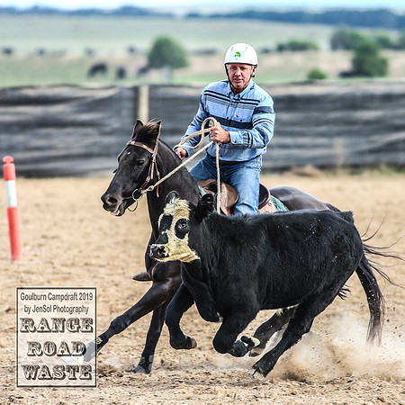 GoulburnCampdraft2019_4467